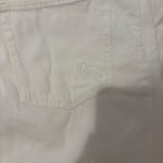 Img 7767