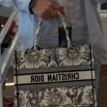 ToteBook Dior Dior - דיור יד שנייה בנמיז - Nemyz