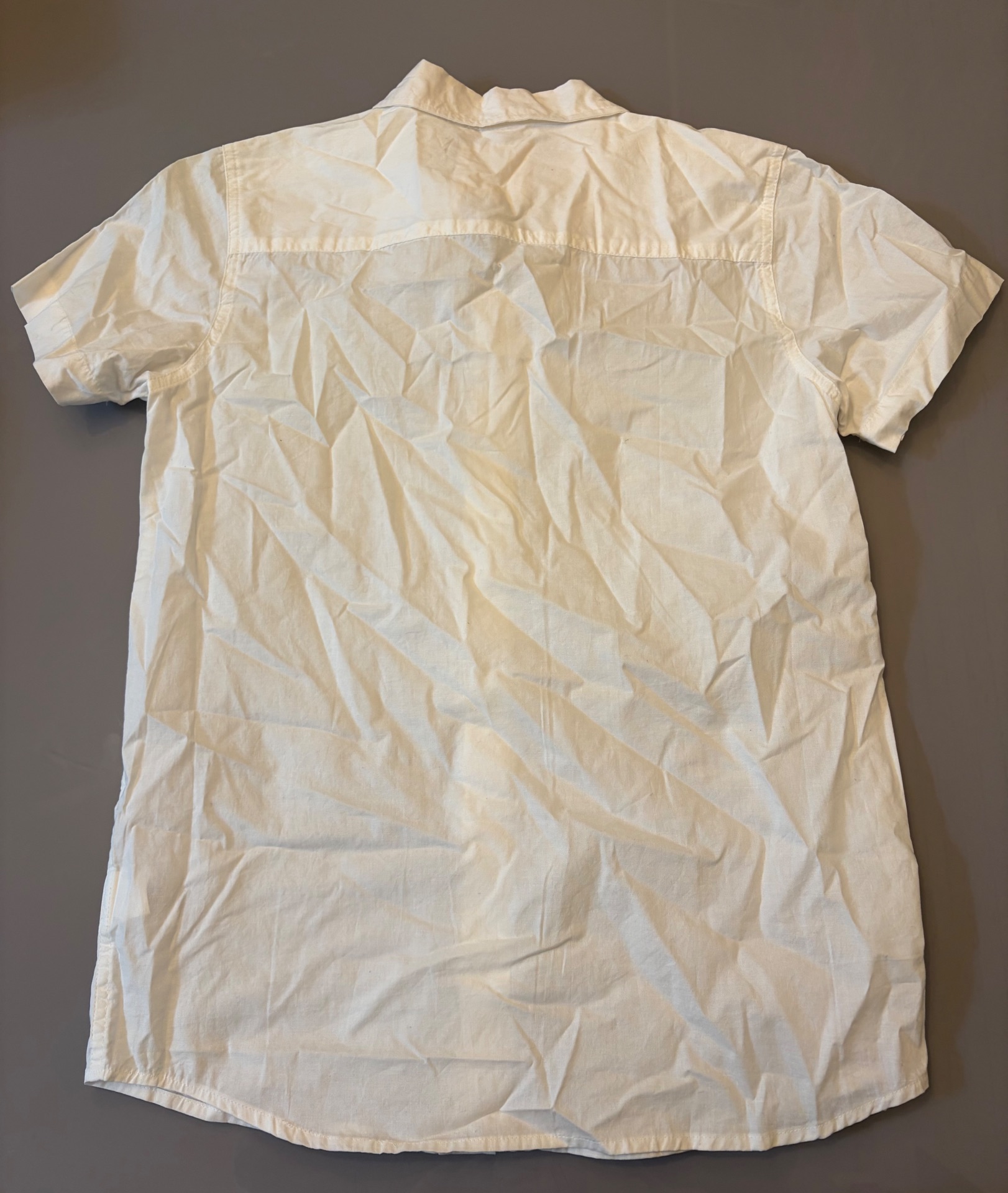 Img 7257