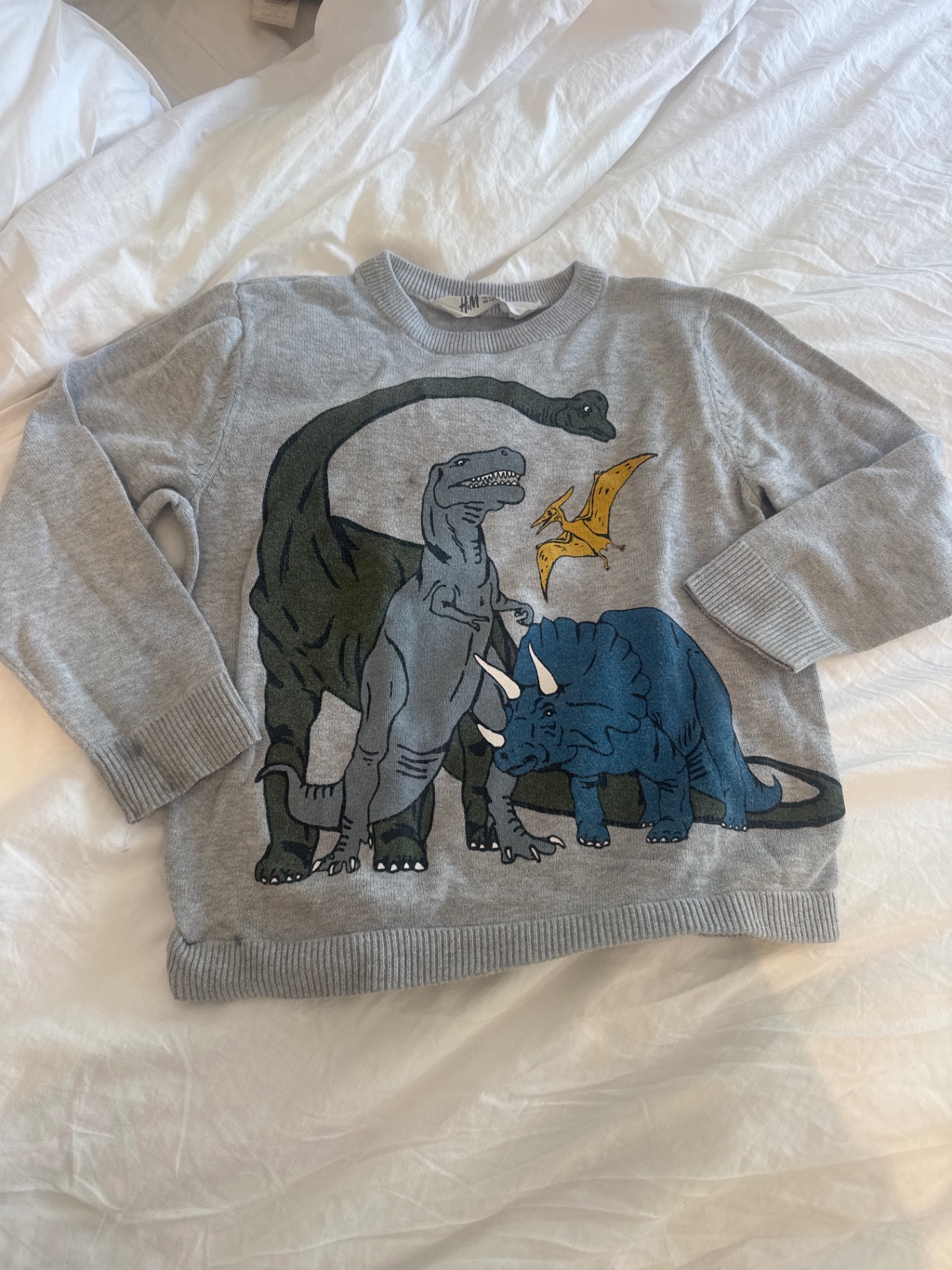 סריג דינוזאורים H&M - אייץ' אנד אם יד שנייה בנמיז - Nemyz