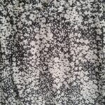 95637 139042