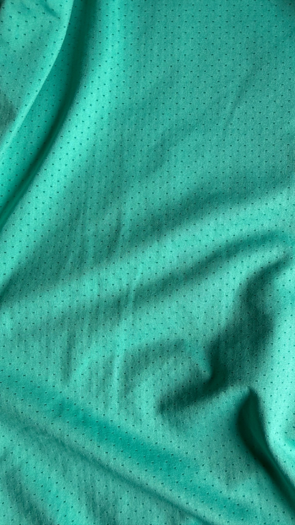 116331 Img 8916