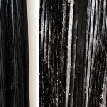 118593 Img 6863